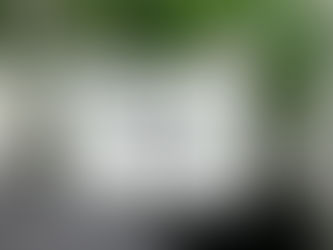 Aktualne terminy spotkań Gdańska Akademia Seniora, Gdańsk Osowa